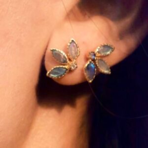 AROS FLORCITAS LABRADORIE CLARA FORNO