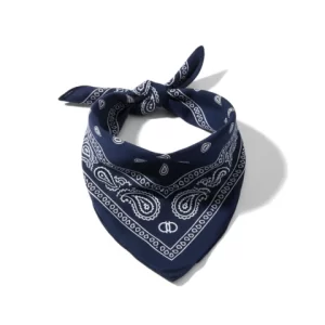 PAÑUELO PAISLEY BLUE 70 AURORA ALFONSO